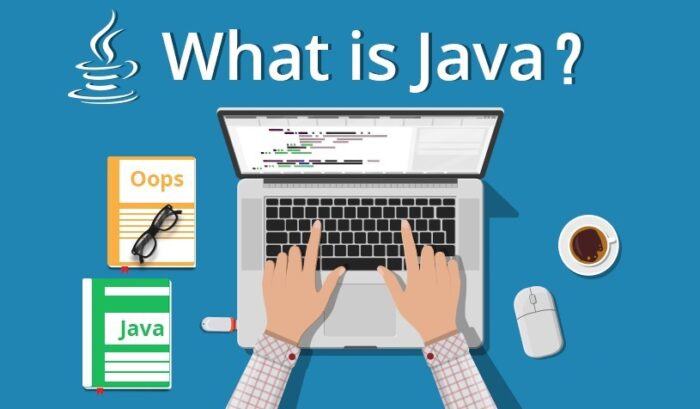 Best Java Training Institute in Rohini